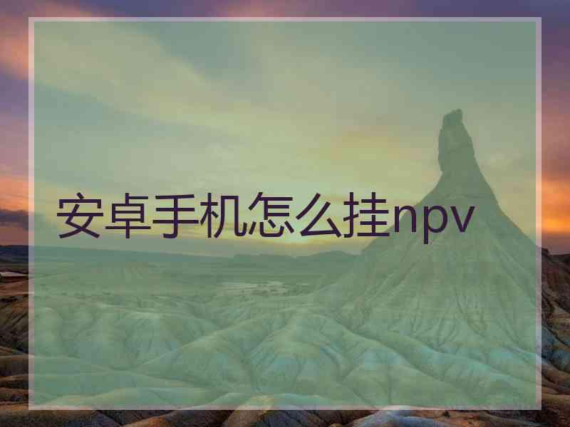 安卓手机怎么挂npv