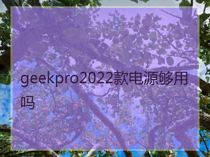 geekpro2022款电源够用吗