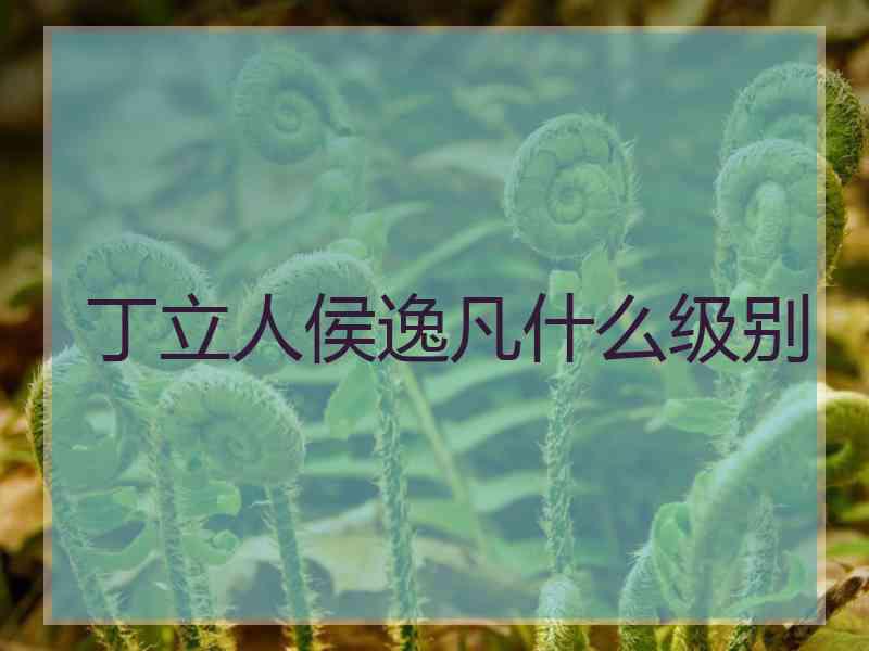 丁立人侯逸凡什么级别