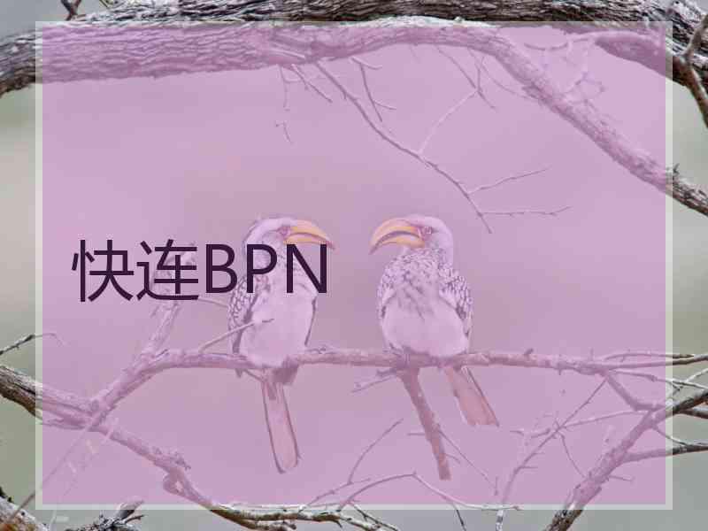 快连BPN