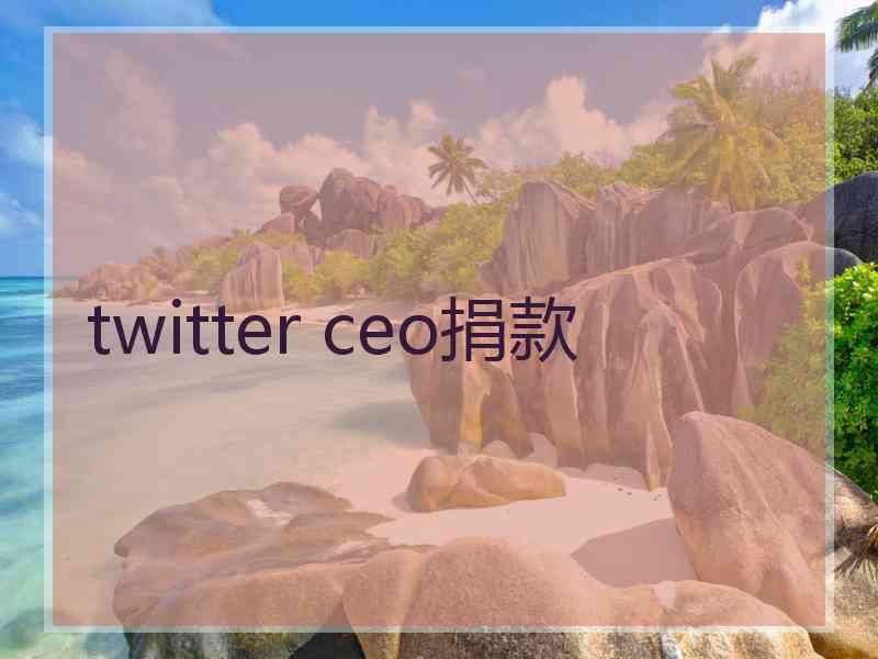 twitter ceo捐款