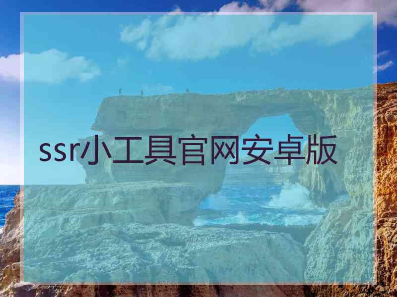 ssr小工具官网安卓版