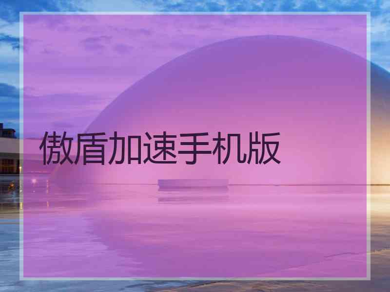 傲盾加速手机版