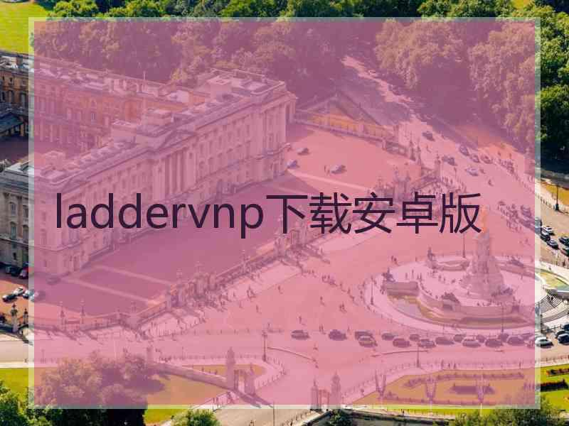 laddervnp下载安卓版