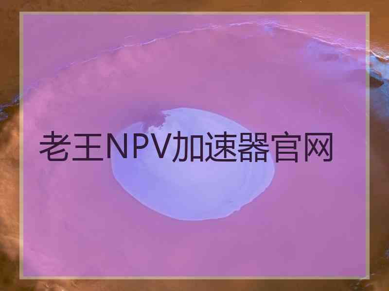 老王NPV加速器官网