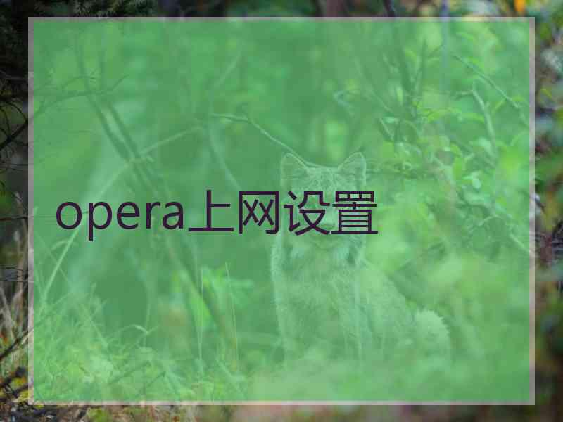 opera上网设置