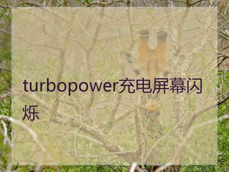 turbopower充电屏幕闪烁