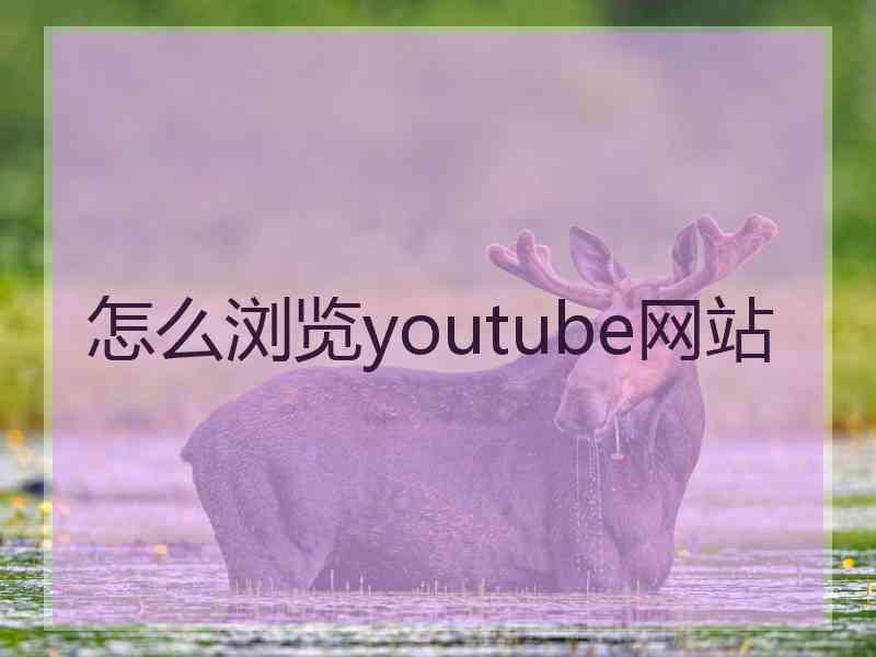 怎么浏览youtube网站