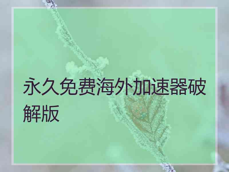 永久免费海外加速器破解版