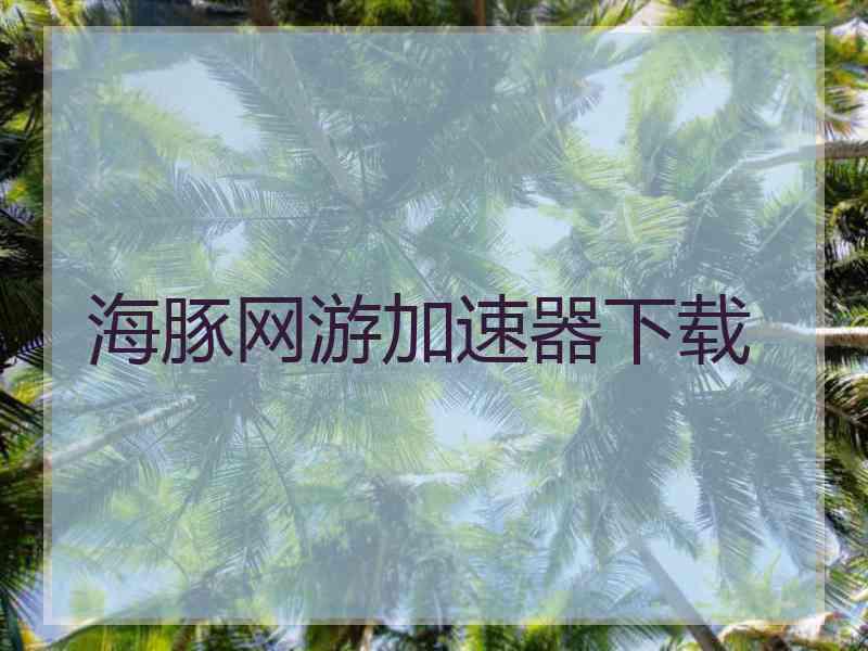 海豚网游加速器下载