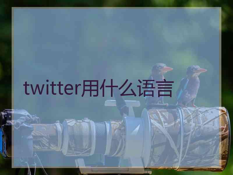 twitter用什么语言