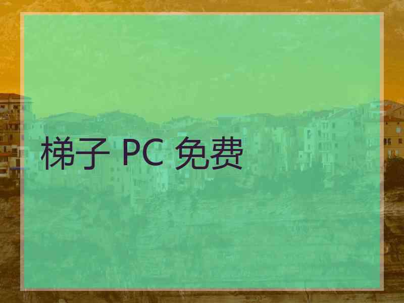 梯子 PC 免费