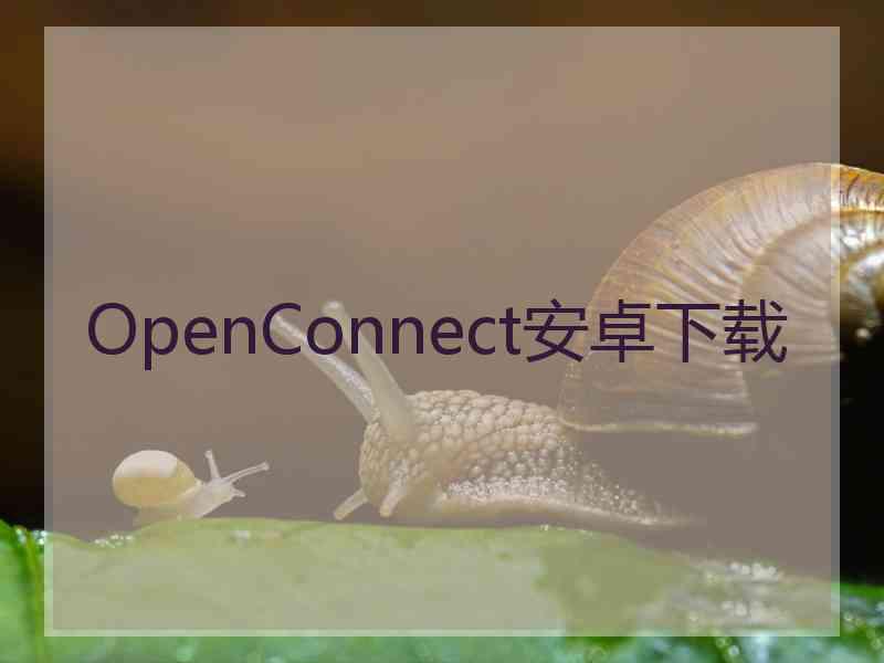 OpenConnect安卓下载