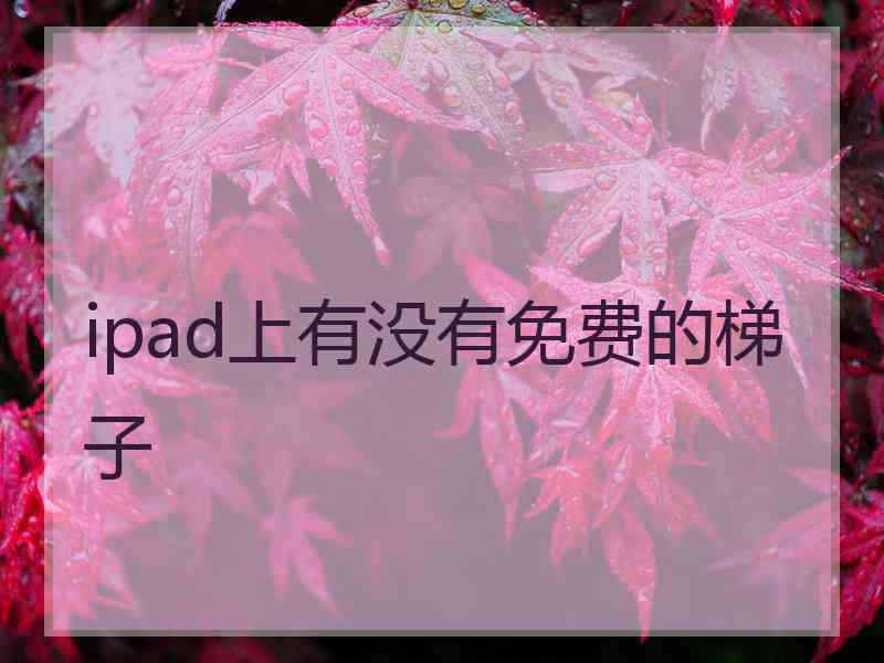 ipad上有没有免费的梯子