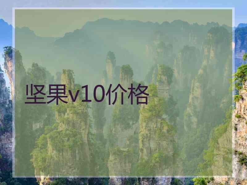 坚果v10价格