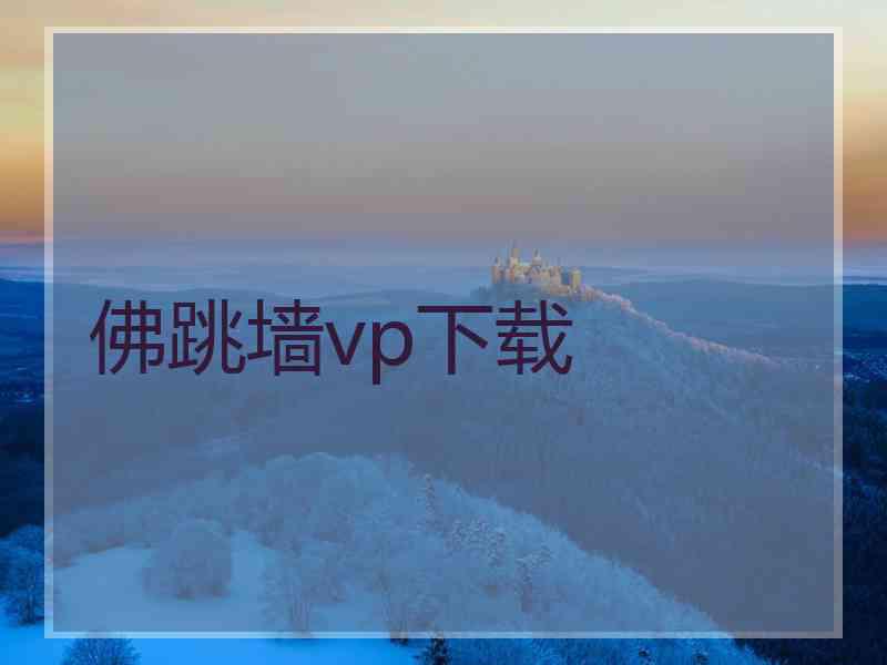 佛跳墙vp下载