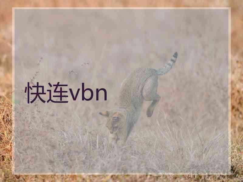 快连vbn