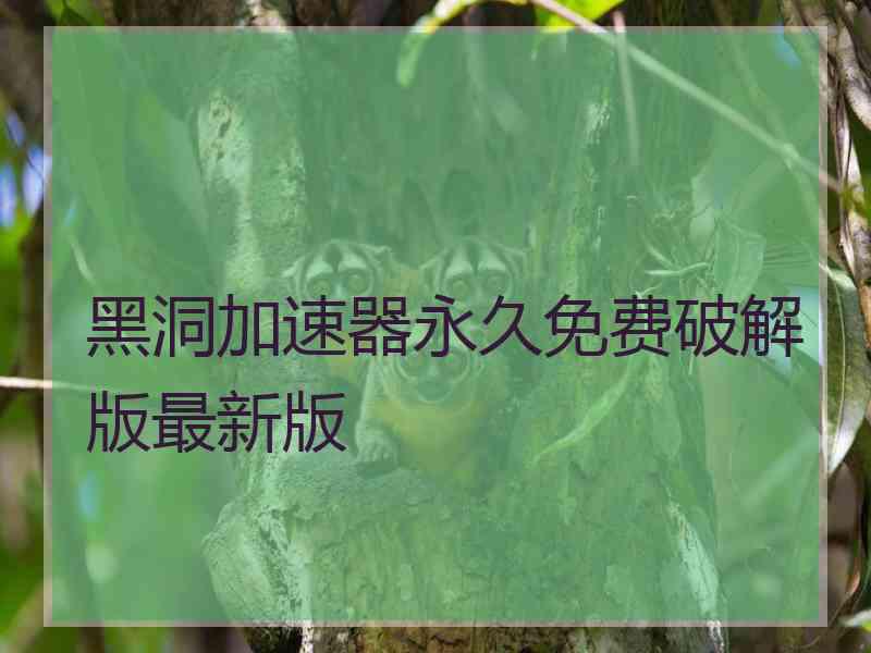 黑洞加速器永久免费破解版最新版