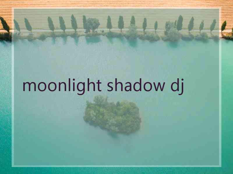 moonlight shadow dj