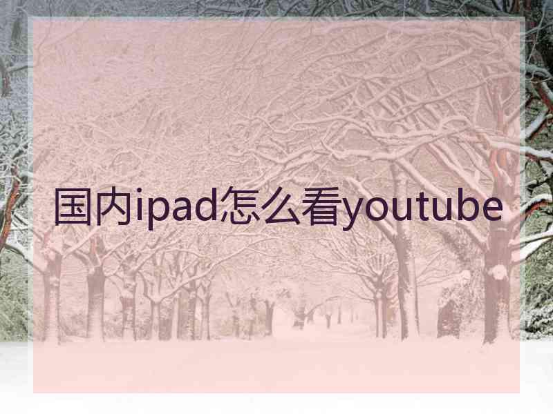 国内ipad怎么看youtube