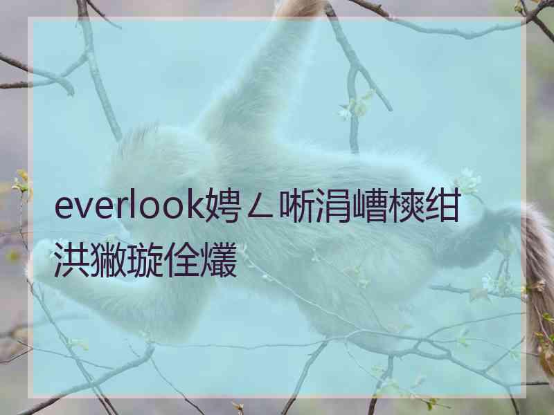 everlook娉ㄥ唽涓嶆樉绀洪獙璇佺爜