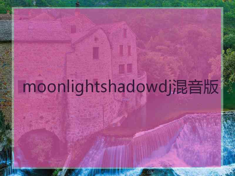 moonlightshadowdj混音版