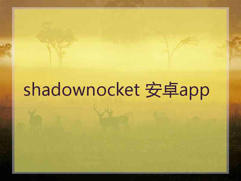 shadownocket 安卓app