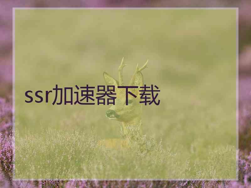 ssr加速器下载