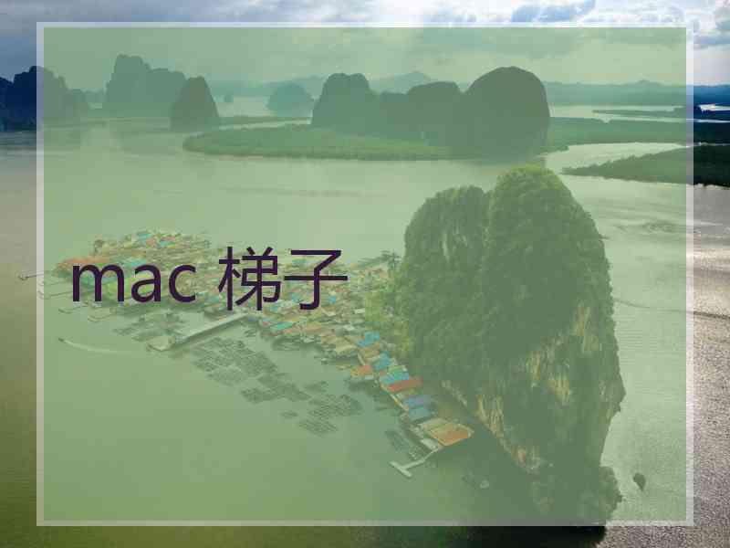 mac 梯子