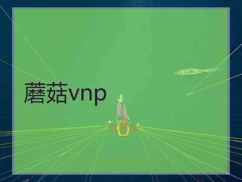 蘑菇vnp