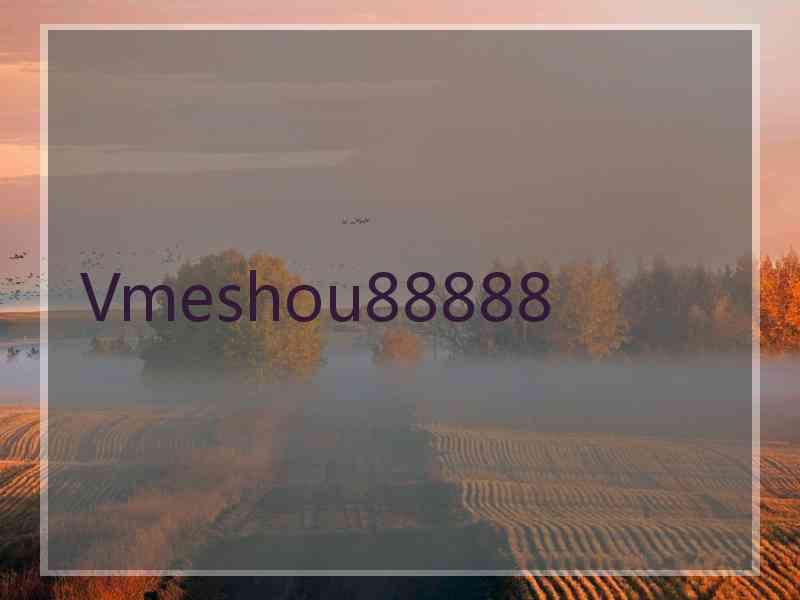 Vmeshou88888