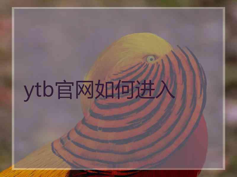 ytb官网如何进入