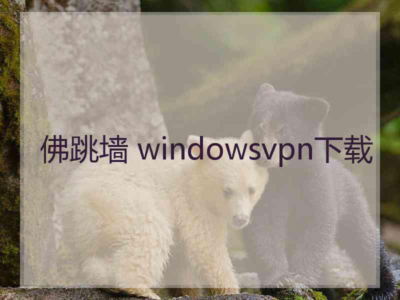 佛跳墙 windowsvpn下载