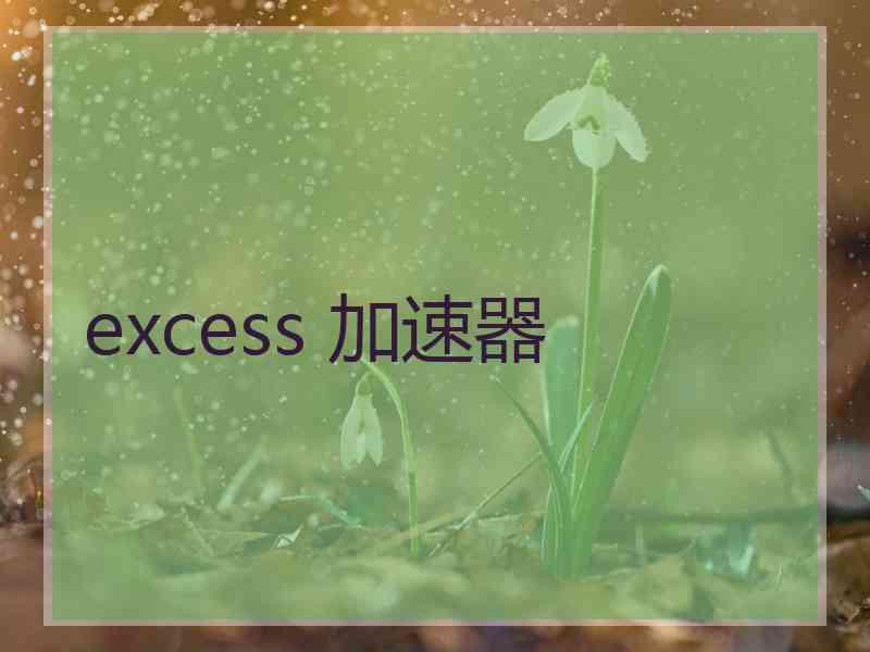 excess 加速器