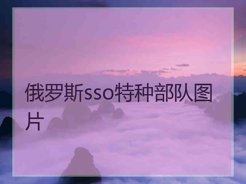 俄罗斯sso特种部队图片