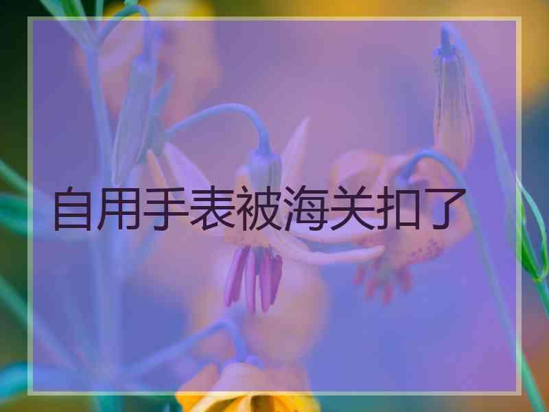 自用手表被海关扣了