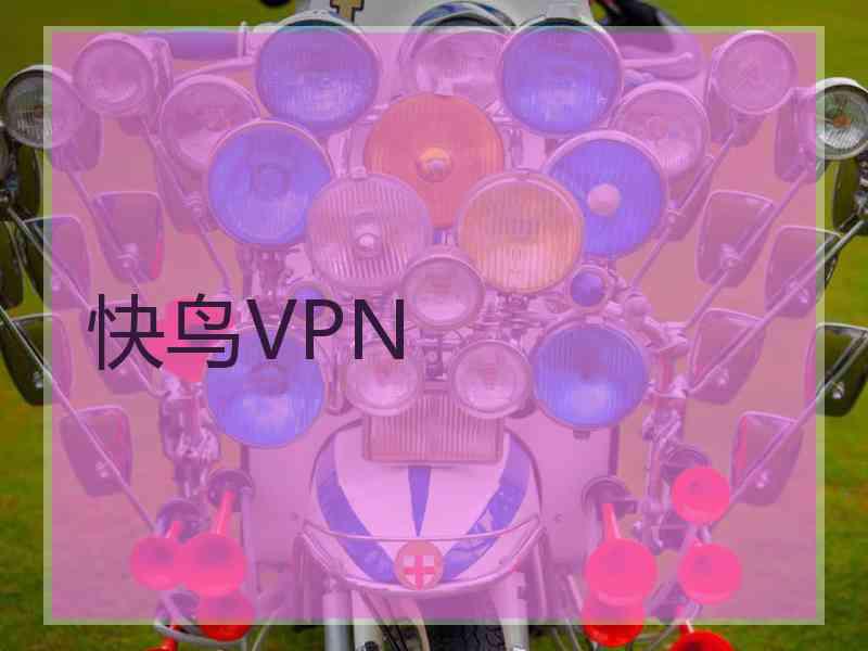 快鸟VPN