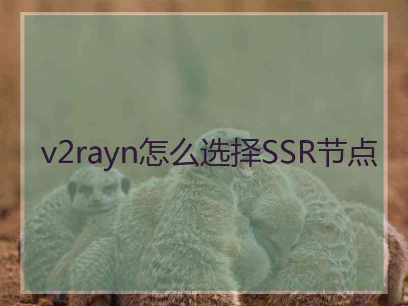 v2rayn怎么选择SSR节点