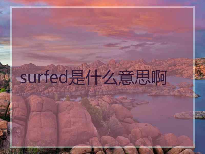 surfed是什么意思啊