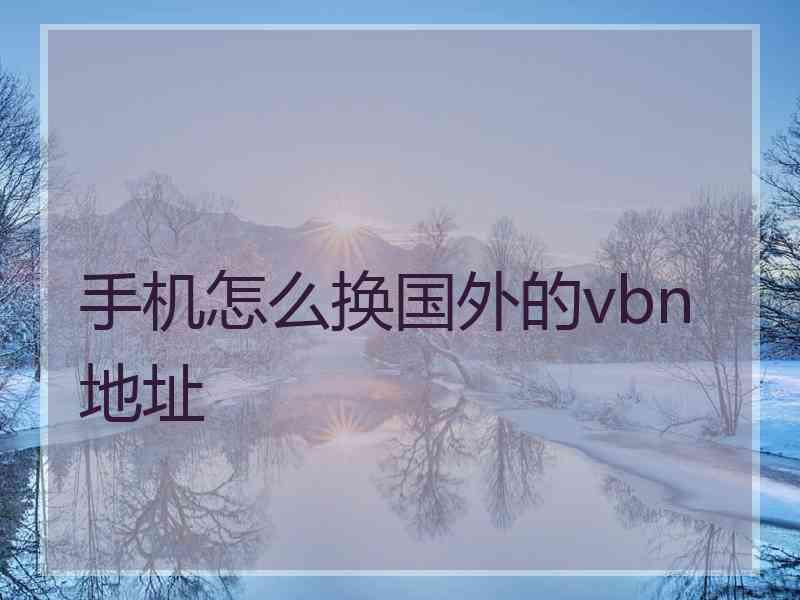 手机怎么换国外的vbn地址