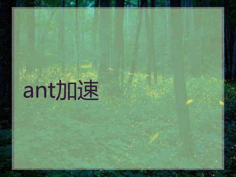 ant加速