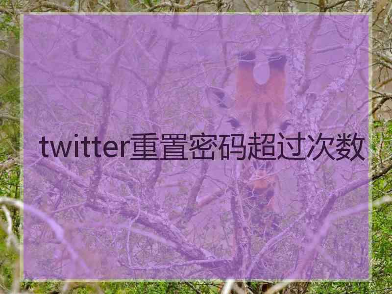 twitter重置密码超过次数