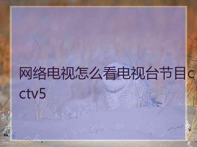 网络电视怎么看电视台节目cctv5