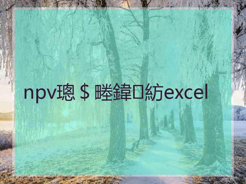 npv璁＄畻鍏紡excel