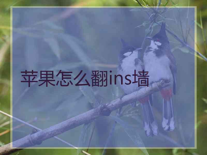 苹果怎么翻ins墙