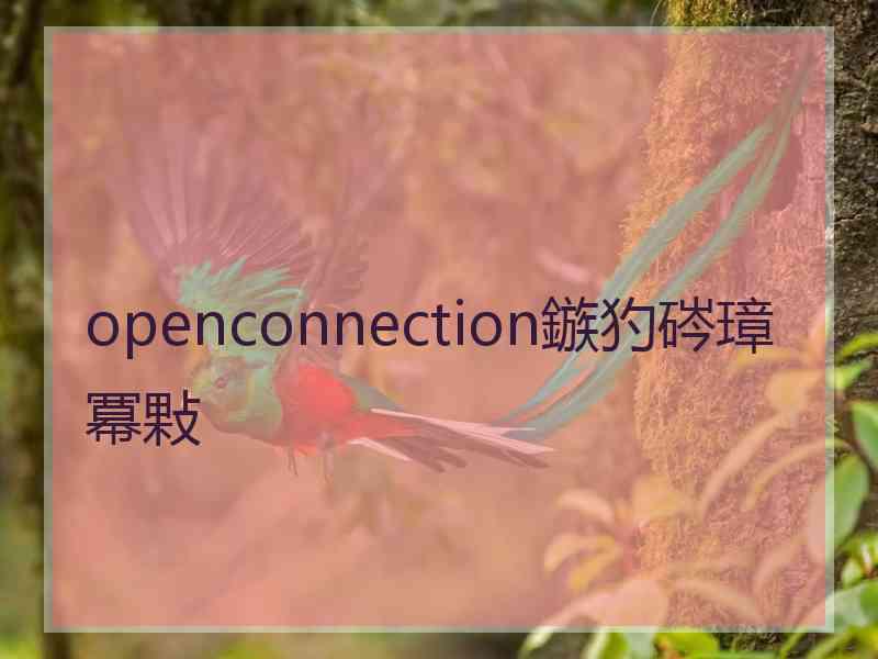 openconnection鏃犳硶璋冪敤