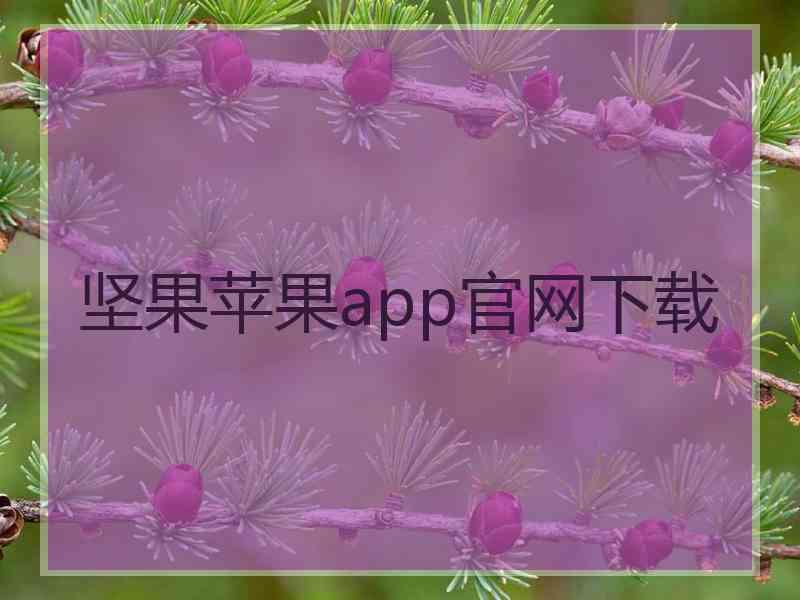 坚果苹果app官网下载