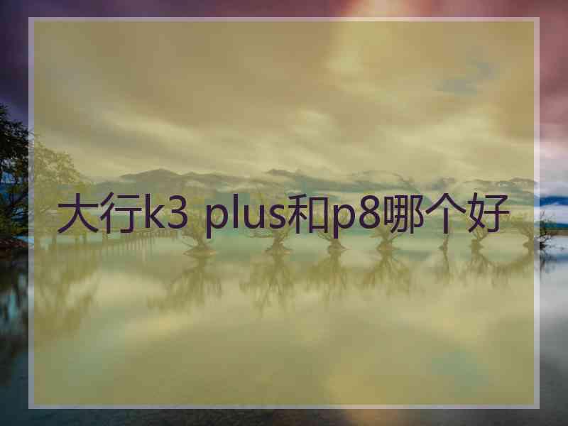 大行k3 plus和p8哪个好