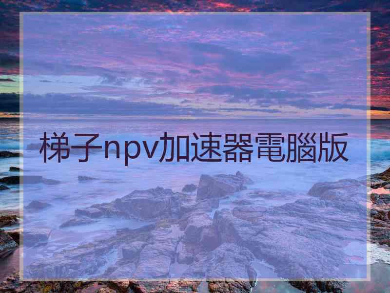 梯子npv加速器電腦版