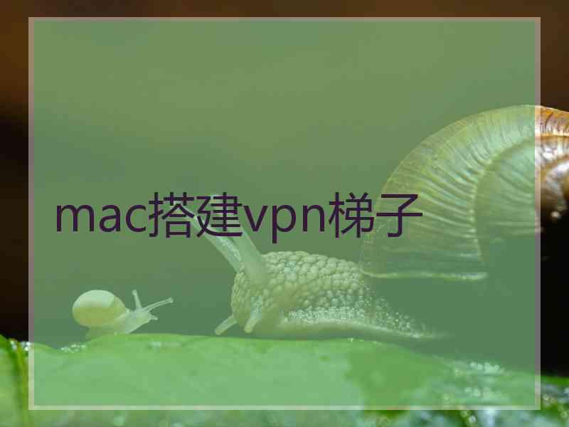 mac搭建vpn梯子